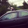 собака в машине, люк, прикол, 