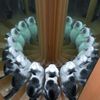 кот, зеркало, отражение,
