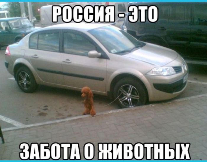В России всё пока типа спокойно))))))) - Страница 33 Rossia-0011