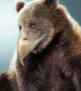 12 Bears With Beaks Because It’s the Internet