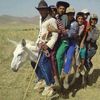 Фотоприкол дня ишак, толпа народу, прикол, семья,