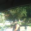 Фотоподборка байкер, прикол, попугай, питомец,