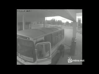 Родился в рубашке