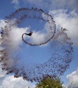 Awesome Flying Beverage Shots by Manon Wethly