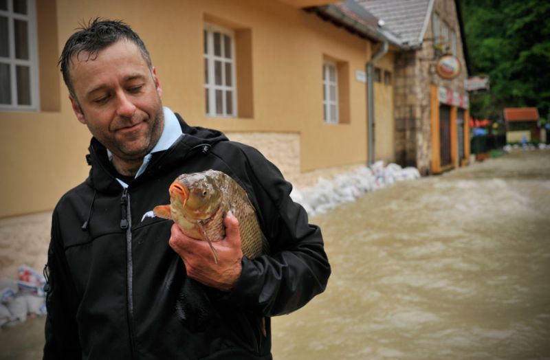 Наводнение в Европе (56 фото)