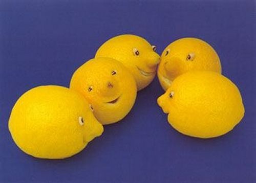 ������� �� ��� (24 ����)