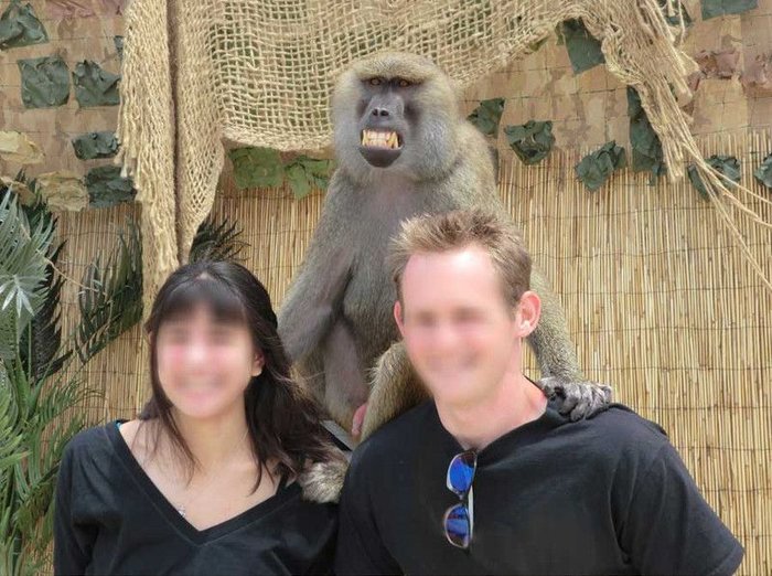 Photo with a monkey (4 photos)