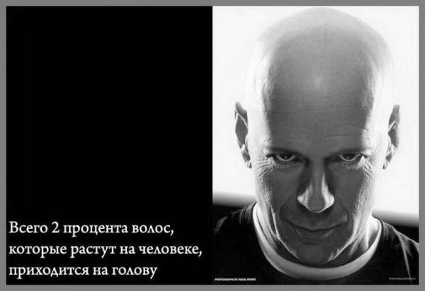 http://ru.fishki.net/picsw/062013/13/post/fakti/fakti-0007.jpg