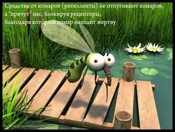http://ru.fishki.net/picsw/062013/13/post/fakti/fakti-0016.jpg