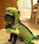 Daily WTF: Huh? Hilarious Photos
