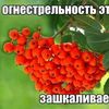 Красивые фото боярышник