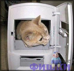 � ���� ���������� ��������������!!! (49 ����)