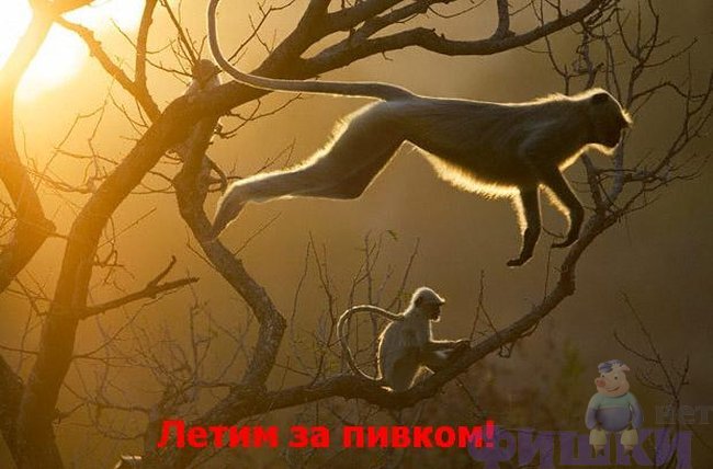 � ��������!!! ��������!!!(9 ����)