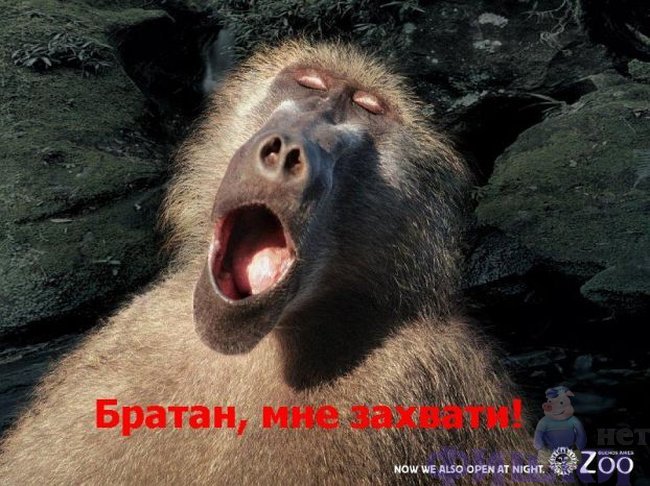 � ��������!!! ��������!!!(9 ����)