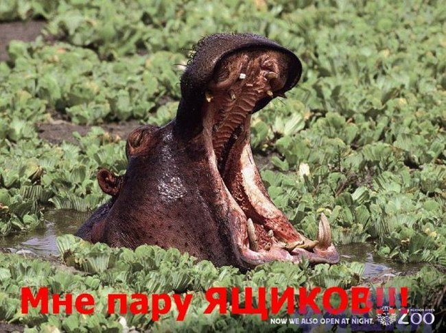 � ��������!!! ��������!!!(9 ����)
