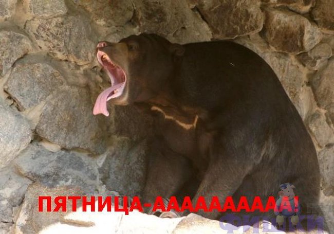 � ��������!!! ��������!!!(9 ����)