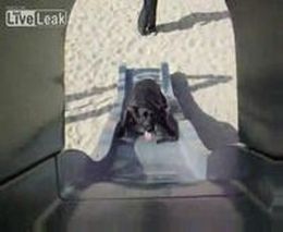 ����� �� �����