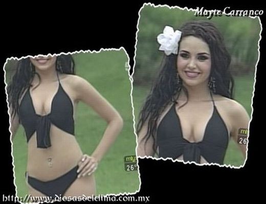 ����� ����������� ������� �������� ������ (13 ���� + 3 �����) 