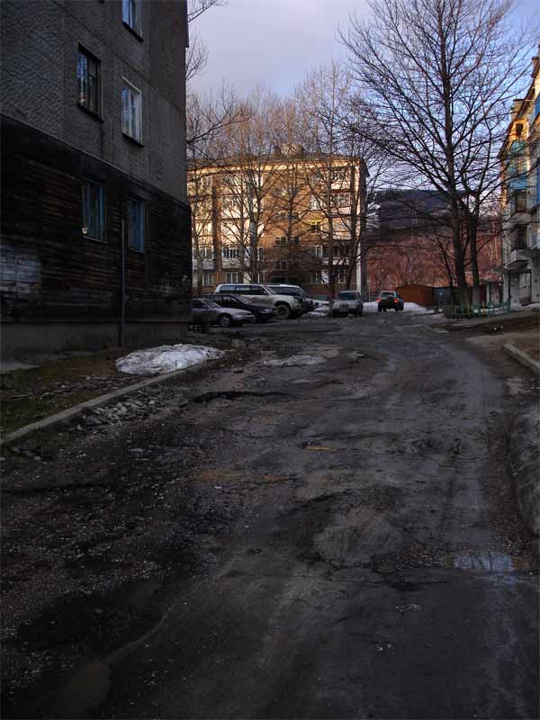 Солнце осветило двор. Я стоял в тени.