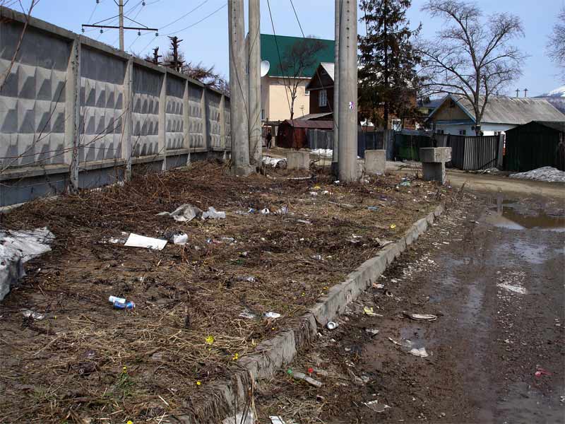 Не знаю что за улица. По-моему Пушкина.