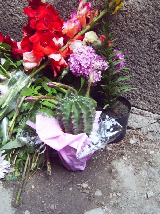 Явление святого образа в Великом Березном (30 фото) Явление святого образа в Великом Березном (30 фото)
