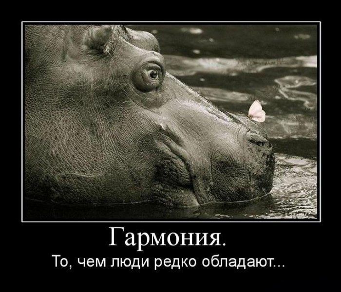 http://ru.fishki.net/picsw/072010/02/post/dem/demotivator_034.jpg