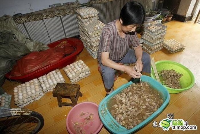 В Китае накрыли подпольную фабрику... (12 фото)