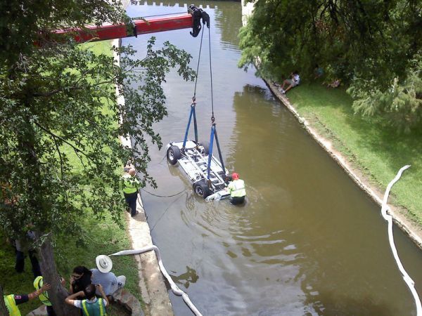 Кобра в водном канале (7 фото)