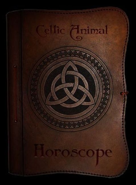 Кельтский гороскоп (14 фото)
