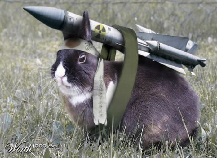 hare with a rocket
