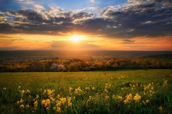 ������ ��������� Maxime Courty (22 ����)