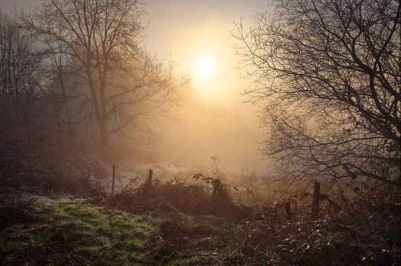 ������ ��������� Maxime Courty (22 ����)