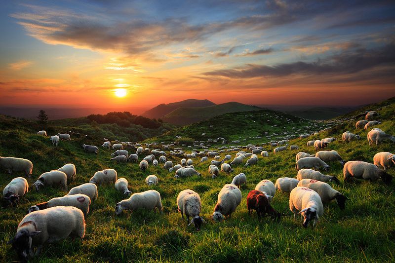 ������ ��������� Maxime Courty (22 ����)