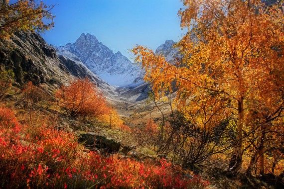 ������ ��������� Maxime Courty (22 ����)