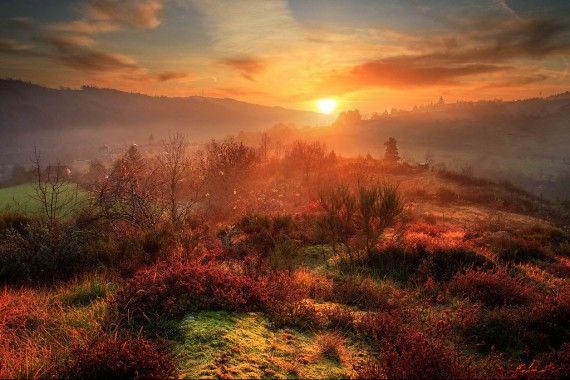 ������ ��������� Maxime Courty (22 ����)