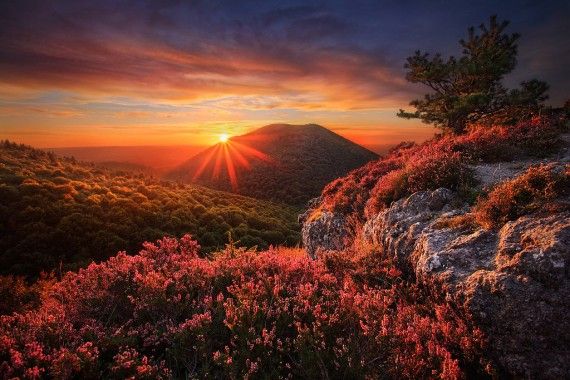 ������ ��������� Maxime Courty (22 ����)
