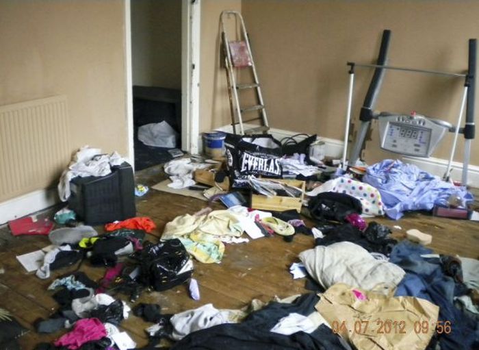 �������� ������������ (12 ����)