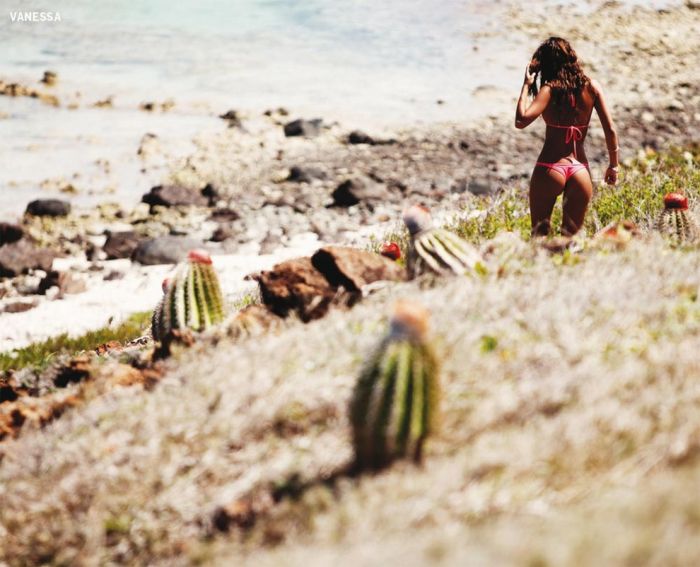 Miss Reef 2012 (45 фото)