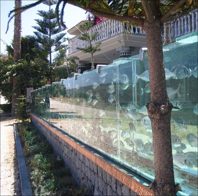 Оригинальные аквариумы Akvarium03