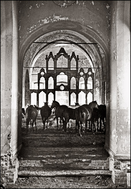 &Scy;&Scy;&Scy;&Rcy; &vcy; &kcy;&acy;&rcy;&tcy;&icy;&ncy;&kcy;&acy;&khcy;, &chcy;&acy;&scy;&tcy;&softcy; 3 (131 &fcy;&ocy;&tcy;&ocy;)