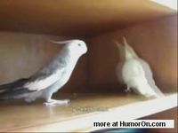 ������ �� ���������� 