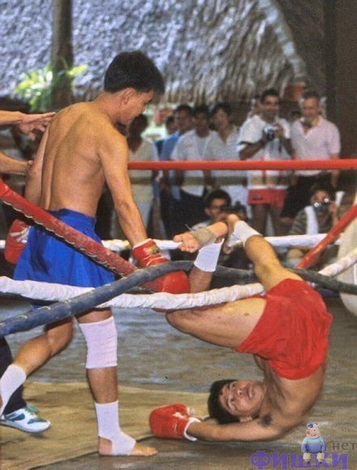 Спортивные курьезы (160)