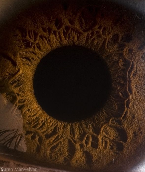Макросъемка глаза (8 фото)