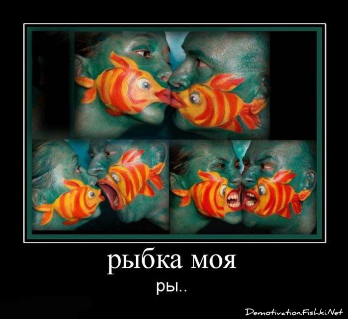 http://ru.fishki.net/picsw/082010/13/post/demotivator/demotivator134.jpg
