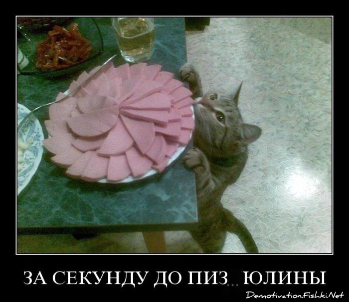 http://ru.fishki.net/picsw/082010/27/post/dem/dem_028.jpg