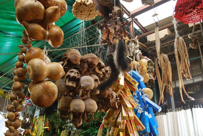 Witch Market Sonora (27 photos)