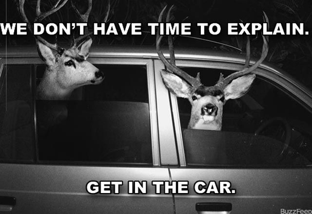 Hilarious “I Have No Time to Explain” Posters (12 pics)