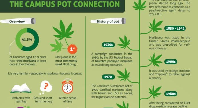 The Campus Pot Connection (infographic)
