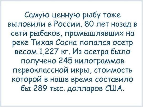 ����� � ����� ������ (27 ��������)