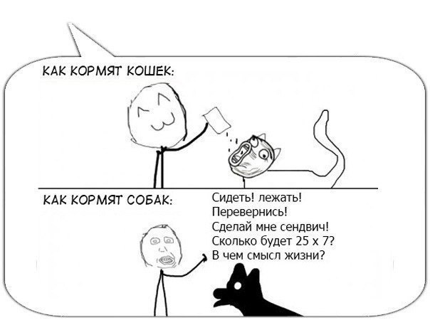 Пятничные комиксы (112 фото)